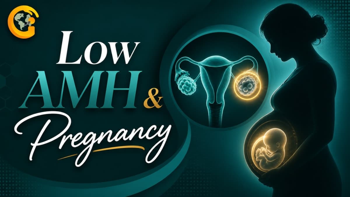 Low AMH Treatment in Delhi: Causes, Fertility Options and Pregnancy Chances