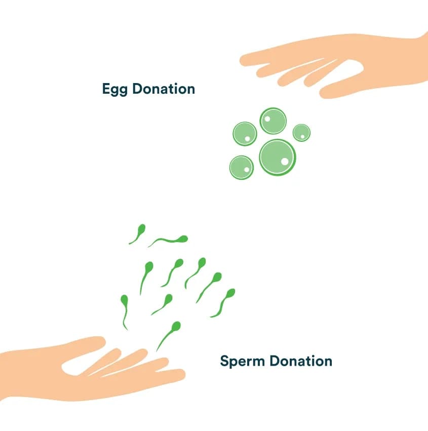 Donor Programs