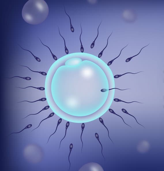 IVF Treatment