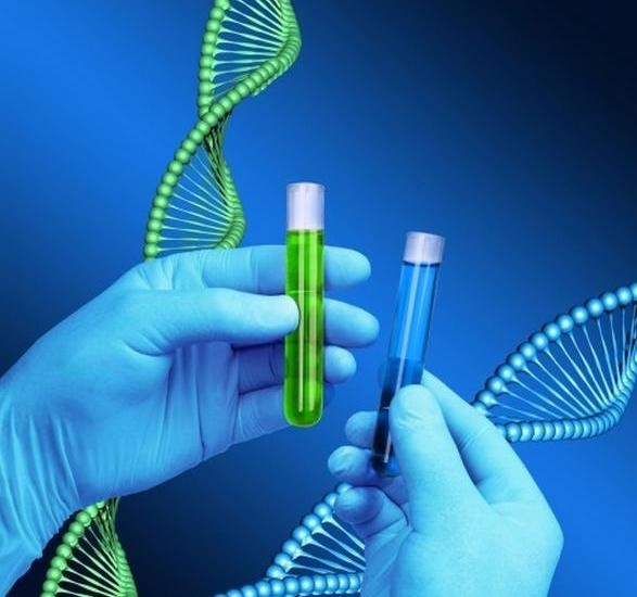 Genetic Testing