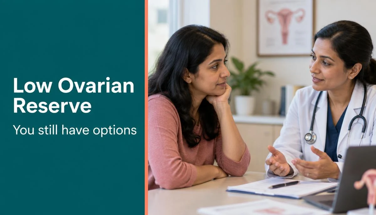 A fertility specialist explaining AMH levels and ovarian follicles to a patient.