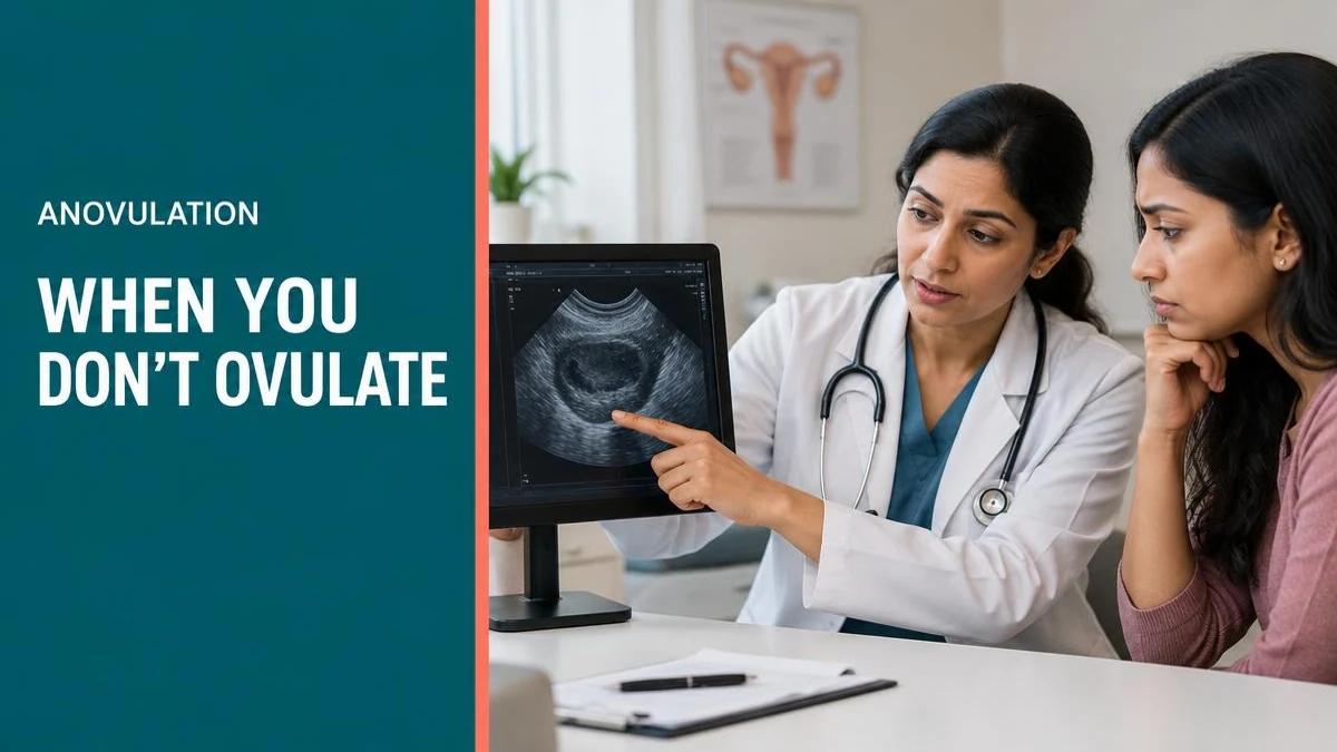 A medical graphic comparing ovulating and non-ovulating ovaries.