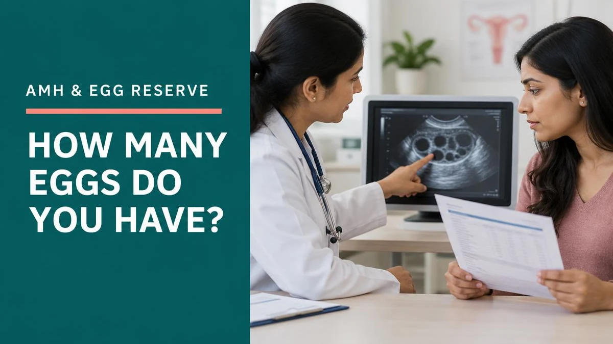 Understanding Ovarian Egg Reserves and AMH